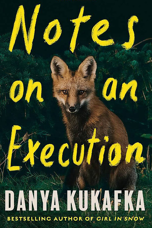 Notes On An Execution