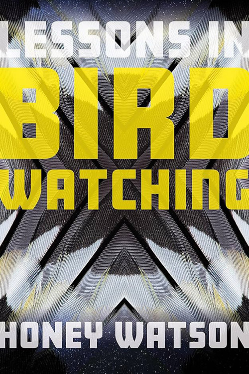 Lessons In Birdwatching